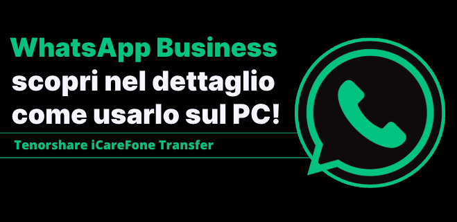 WhatsApp Business Web