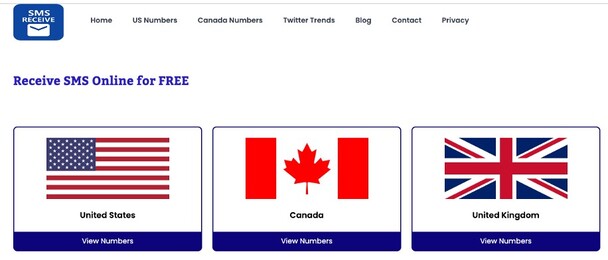 ricevere SMS online 4