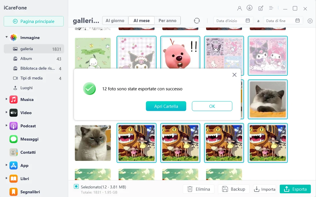 foto di icarefone esportate con successo su pc