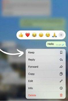 messaggi effimeri whatsapp 2