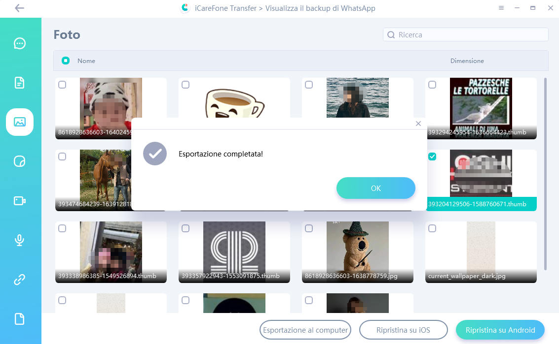 esporta le foto di whatsapp con successo icarefone transfer